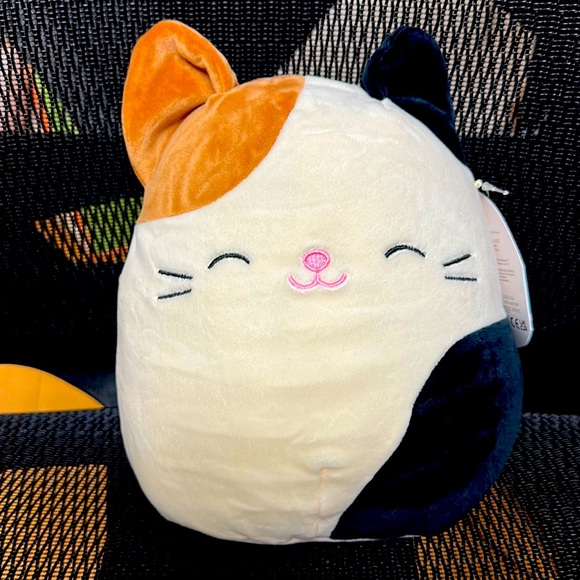 Squishmallows Toys Nwt Cam The Cat Squishmallow Poshmark